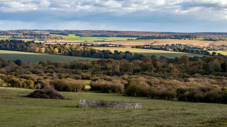 The Bronze Age burial mound at Stockbridge Down, Mottisfont, Hampshire